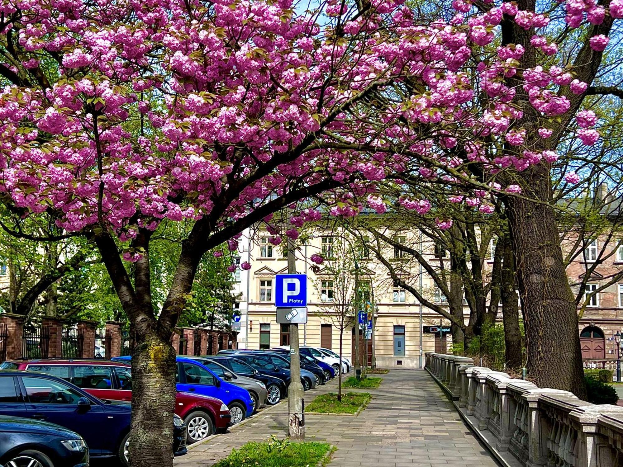 Krakow Central Apartments Exterior photo